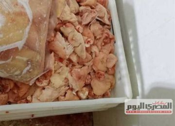 ضبط 2.5 طن أجنحة دواجن غير صالحة للاستهلاك الآدمي خلال حملة في كفر الشيخ