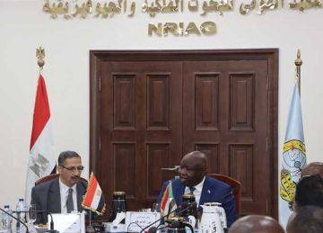  البحوث الفلكية : مبادرة لإنشاء تحالف استراتيجي مع السودان لاكتشاف المعادن