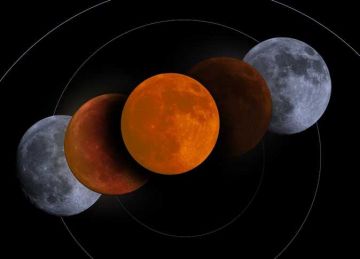 يستمر أكثر من 5 ساعات .. تفاصيل وموعد الخسوف الكلي للقمر في مصر يستمر أكثر من 5 ساعات .. تفاصيل وموعد الخسوف الكلي للقمر في مصر