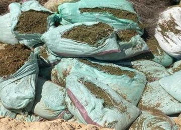 بحوزتهم 6 كيلو بودرة وأسلحة.. القبض على تشكيل عصابي للاتجار بالمخدرات في القليوبية