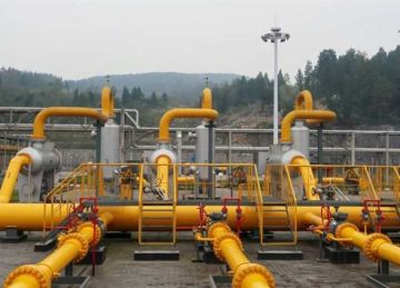 شركة الغاز الطبيعي لمواطني العجمي بالإسكندرية: لا تنزعجوا من الرائحة 