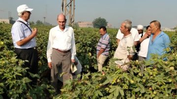 البحوث الزراعية يدعم 72 ألف مزارع بأكثر من 2800 نشاط إرشادي