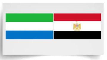 برلماني: تعزيز التعاون مع رواندا يعكس وعي القيادة السياسية بأهمية العمق الإفريقي لمصر