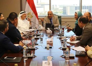 وزير الكهرباء يبحث مع مجموعة النويس التوسع في محطات الطاقة المتجددة