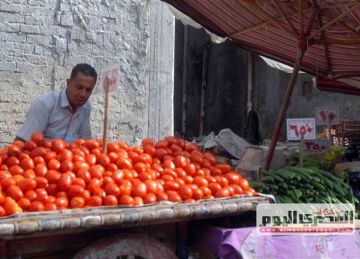 أسعار الخضروات والفاكهة اليوم الاثنين 1 سبتمبر في شمال سيناء