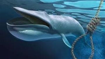 طالب إعدادي ينهي حياته شنقا بسبب الحوت الأزرق في الجيزة