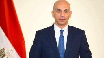 الخارجية: الدبلوماسية المصرية كانت نشيطة لدفع العديد من الدول الاعتراف بالدولة الفلسطينية