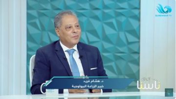 خبير زراعة بيولوجية يكشف عن أخطر حشرة تداهم محصول الفراولة في مصر