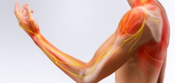 طعام غير متوقع يزيد العضلات ويمنع الشيخوخة والزهايمر