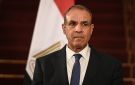 وزير الخارجية المصري: نستخدم مختلف أدوات التأثير والضغط لوقف الحرب في غزة ونعول على ترامب - eg