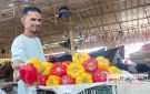 كيلو الفلفل الرومى بـ 20 جنيها.. أسعار الخضروات في مطروح اليوم الثلاثاء 9 سبتمبر 2025 - eg