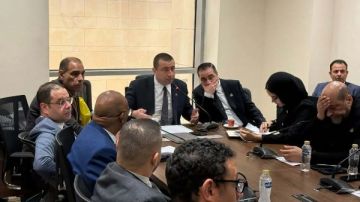 صناعة النواب توافق على منحة لتطوير صناعة السيارات الخضراء بقيمة 10مليون دولار