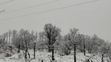 طقس قاس.. تحذيرات عاجلة في المكسيك مع اقتراب عاصفة شتوية عنيفة طقس قاس.. تحذيرات عاجلة في المكسيك مع اقتراب عاصفة شتوية عنيفة