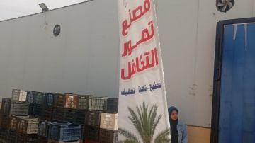 استعدادا لشهر رمضان .. مراحل تصنيع وحفظ تمور التكافل بالوادي الجديد فيديو وصور