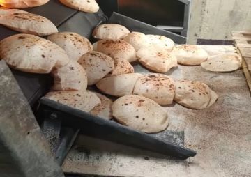 تموين الشرقية يحرر 761 محضرا ضد أصحاب المخابز والمحال التجارية تموين الشرقية يحرر 761 محضرا ضد أصحاب المخابز والمحال التجارية