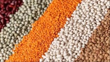 صناعة الحبوب: 40 انخفاضا بأسعار البقوليات