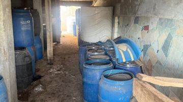 ضبط 24 طن مخللات داخل مصنع بدون ترخيص بالقليوبية