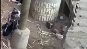 فيديو مسلح يهدد الأهالي في قرية رفاعة بمحافظة قنا يثر الذعر..التفاصيل الكاملة فيديو مسلح يهدد الأهالي في قرية رفاعة بمحافظة قنا يثر الذعر..التفاصيل الكاملة