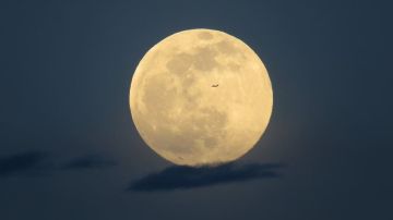 قمر الذئب العملاق يودع السماء.. فرصة أخيرة لمشاهدة أكبر بدر حتى نهاية 2026