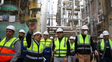 قطاع الأعمال: تطوير شركات الأسمدة أولوية لدعم الأمن الغذائي وزيادة الصادرات قطاع الأعمال: تطوير شركات الأسمدة أولوية لدعم الأمن الغذائي وزيادة الصادرات