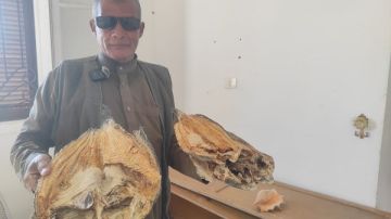 من شمس سيناء وملح البحر تجفيف الأسماك حكاية تراث بدوي يعود إلى زمن الفراعنة
