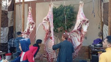 محافظ أسيوط: استمرار بيع كيلو اللحوم البلدية بـ290 جنيها بمنافذ منفلوط