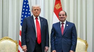 مصر تدرس دعوة ترامب للرئيس السيسي للانضمام إلى مجلس سلام غزة مصر تدرس دعوة ترامب للرئيس السيسي للانضمام إلى مجلس سلام غزة