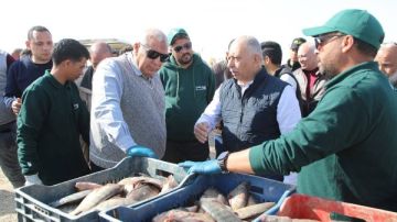 موجز أخبار الوادي الجديد.. المحافظ يتفقد توسعات مشروع الاستزراع السمكي وخطة التوسعات