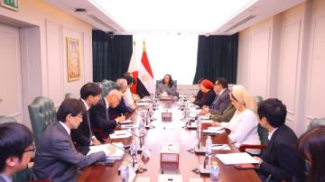 الاستثمار في الطفولة المبكرة.. وزيرة التضامن تلتقي وفدا من مجلس المستشارين الياباني
