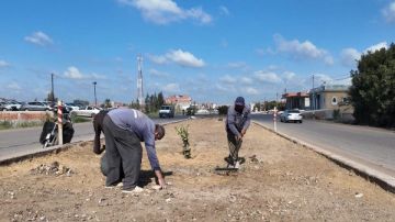 رفع كفاءة الجزيرة الوسطى وأعمال النظافة بمدخل كفر الشيخ .. صور