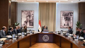 مدبولي يتابع إجراءات التعامل مع الكلاب الضالة ويوجه بالتوسع في مراكز الإيواء مدبولي يتابع إجراءات التعامل مع الكلاب الضالة ويوجه بالتوسع في مراكز الإيواء