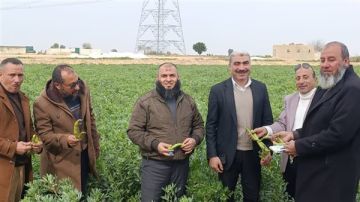 الزراعة تنفذ 83 ألف ندوة إرشادية بيطرية لحماية الثروة الحيوانية خلال 2025