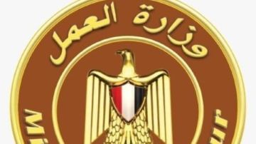 تحرير 382 محضر مخالفة قانون العمل وإنذار 823 منشأة لتصحيح الأوضاع