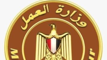 تحرير 427 محضر مخالفة قانون العمل.. ومهلة لـ739 منشأة لتصحيح أوضاع