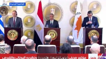 وزير الخارجية: إرادة مصرية قبرصية يونانية لتعزيز التعاون والتنسيق وزير الخارجية: إرادة مصرية قبرصية يونانية لتعزيز التعاون والتنسيق