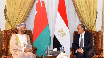 وزير الخارجية: القضية الفلسطينية ستظل في صدارة أولويات السياسة المصرية