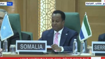 وزير خارجية الصومال: ما يسمى بأرض الصومال جزء لا يتجزأ من جمهوريتنا.. واعتراف إسرائيل غير مقبول