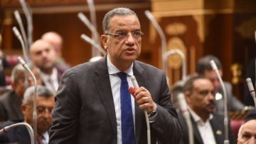 محمود مسلم: استثمارات المياه أمن قومي وورد النيل يهدد كفاءة الري محمود مسلم: استثمارات المياه أمن قومي وورد النيل يهدد كفاءة الري