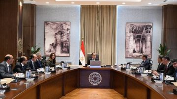 إجراءات التعامل مع الحيوانات الضالة والمتروكة.. تحصين 121 ألف كلب وتعقيم 8311 إجراءات التعامل مع الحيوانات الضالة والمتروكة.. تحصين 121 ألف كلب وتعقيم 8311