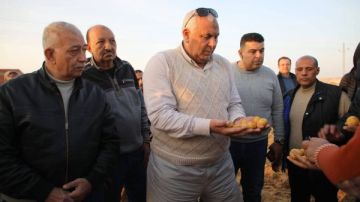 سلالات مطلوبة دوليا زراعة 100 ألف فدان بطاطس بالوادي الجديد سلالات مطلوبة دوليا زراعة 100 ألف فدان بطاطس بالوادي الجديد