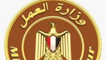 وزير العمل يدعو صاحب فيديو إهمال مكتب عمل دسوق للحضور وبحث مشكلته