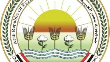 الزراعة تعلن فتح السوق الأوزبكي أمام صادرات مصر من الفراولة الطازجة