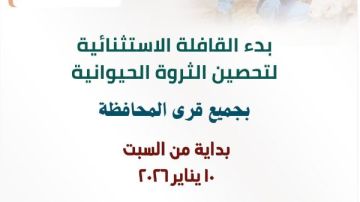 انطلاق الحملة الإستثنائية لتحصين المواشي ضد الحمى القلاعية لتحصين الماشية بالشرقية انطلاق الحملة الإستثنائية لتحصين المواشي ضد الحمى القلاعية لتحصين الماشية بالشرقية