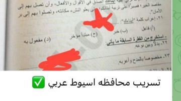 جروبات الغش تنشر أسئلة امتحانات الشهادة الإعدادية بعد دقائق من توزيعها باللجان
