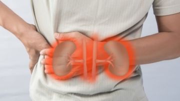 مشروبات شائعة ترفع خطر الفشل الكلوي دراسة علمية تطلق تحذيرا صريحا