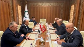 وزير الخارجية يؤكد دعم مصر لوحدة ليبيا وسلامة أراضيها