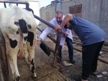 الزراعة: فحص وعلاج أكثر من 1.7 مليون رأس ماشية وطائر ضمن القوافل البيطرية في عام