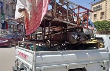 رفع 426 حالة إشغال في حملات مكثفة لإعادة الانضباط بالإسكندرية