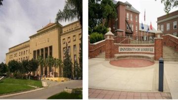 لطلاب جامعة الإسكندرية.. تفاصيل التقديم لبرنامج التدريب الصيفي 2026 بجامعة لويفيل الأمريكية