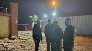 لليوم الثالث على التوالي.. حملة مكبرة لمنع انتشار الابقار المتجولة في شوارع بورسعيد